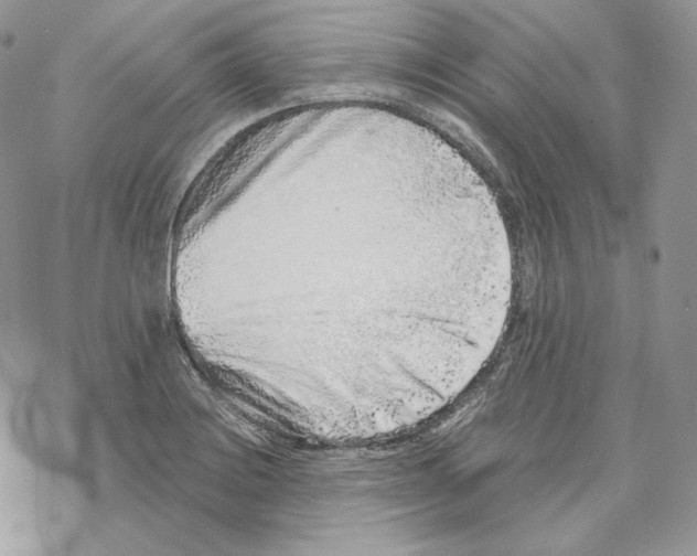 X0000069361228200606091553