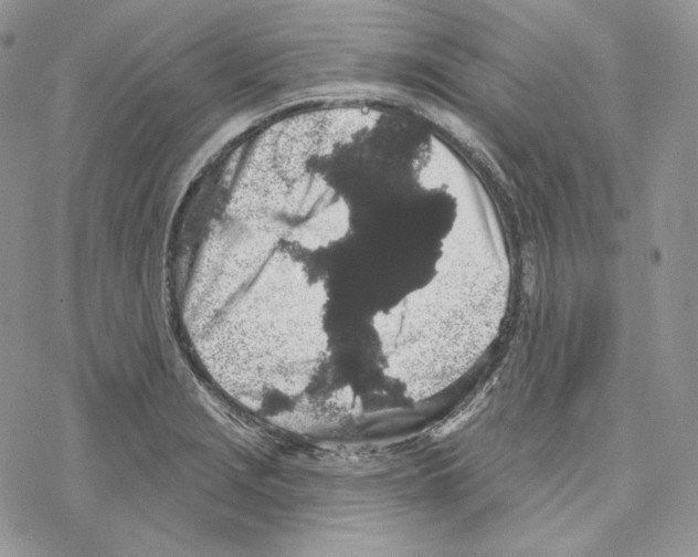 X0000069361229200606091553