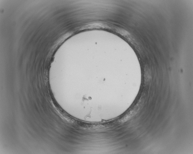 X0000069361233200606091553