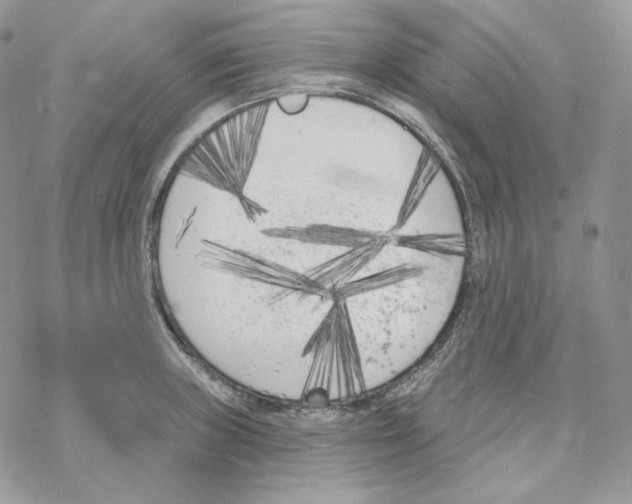 X0000069361235200606091553