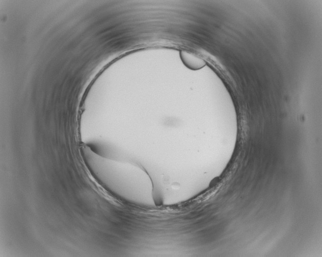 X0000069361236200606091553