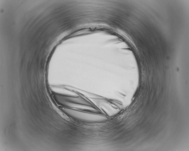 X0000069361237200606091553