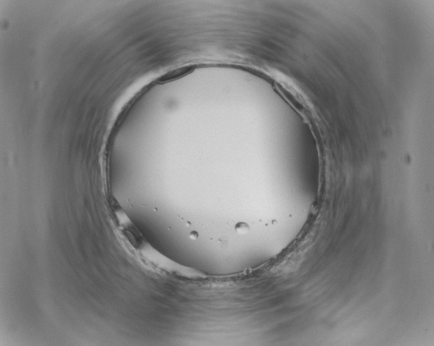 X0000069361238200606091553