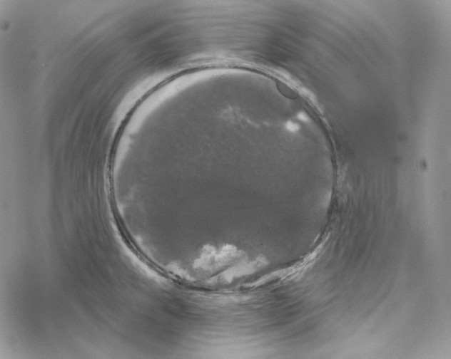 X0000069361239200606091553