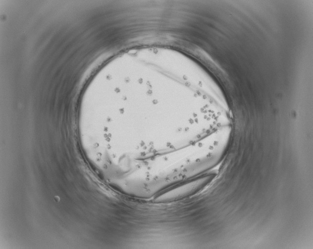 X0000069361240200606091553