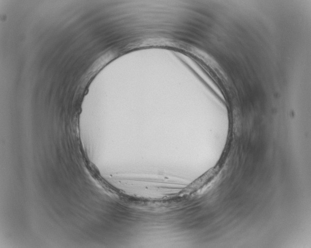 X0000069361241200606091553