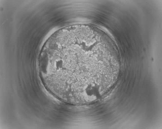 X0000069361243200606091553