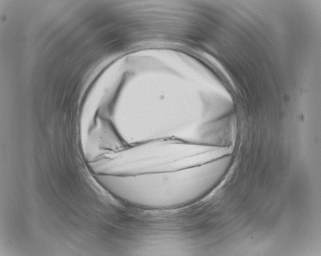 X0000069361244200606091553