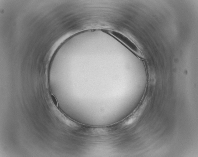 X0000069361246200606091553