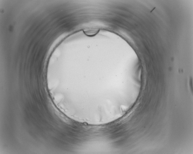 X0000069361248200606091553