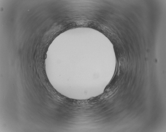 X0000069361249200606091552