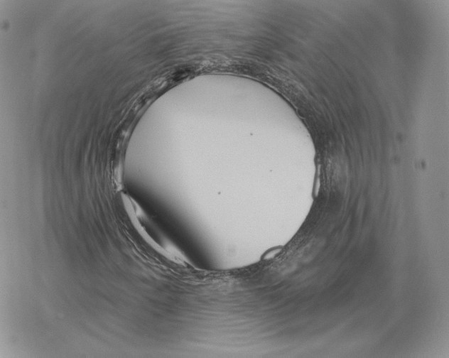 X0000069361250200606091552