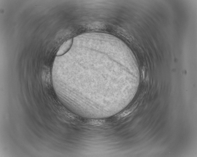 X0000069361251200606091552