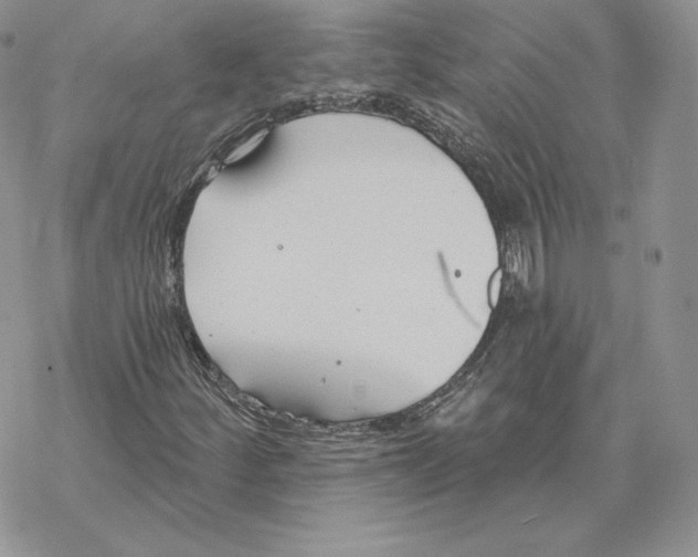 X0000069361252200606091552