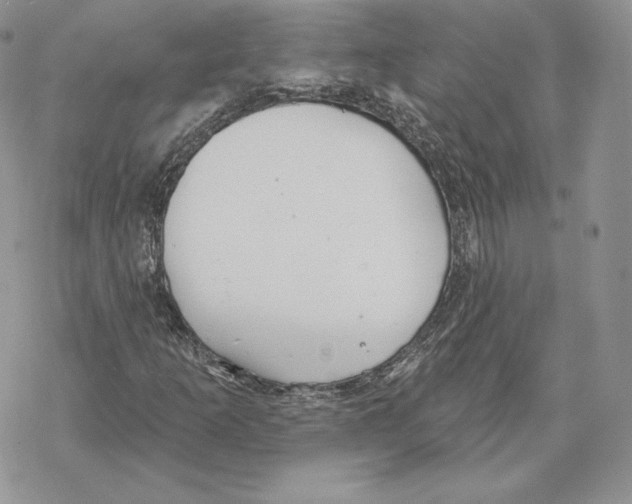 X0000069361253200606091552