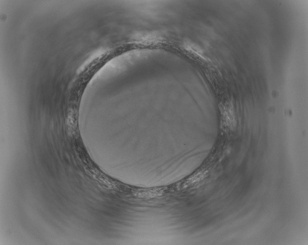 X0000069361254200606091552