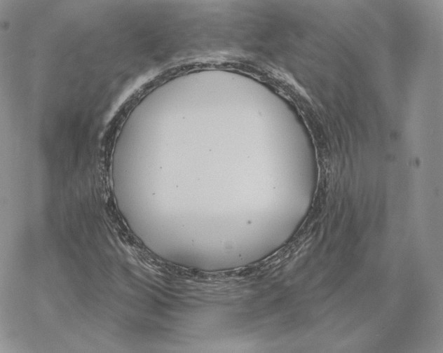 X0000069361256200606091552