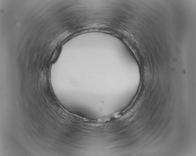 X0000069361257200606091552