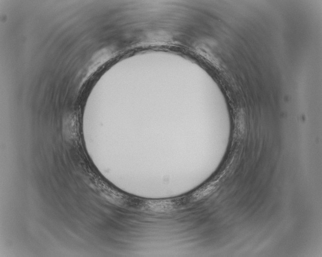 X0000069361258200606091552