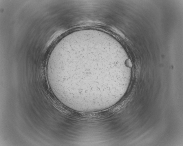 X0000069361259200606091552