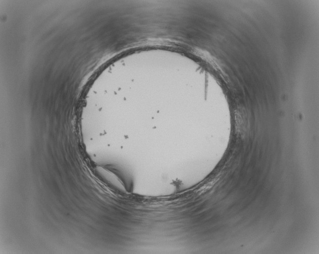 X0000069361260200606091552