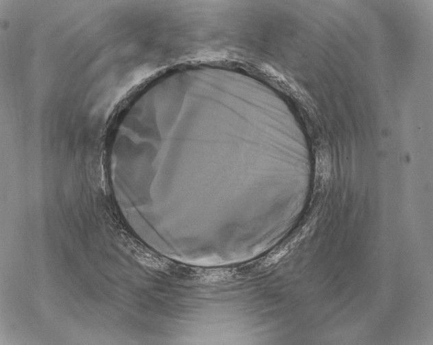 X0000069361262200606091552