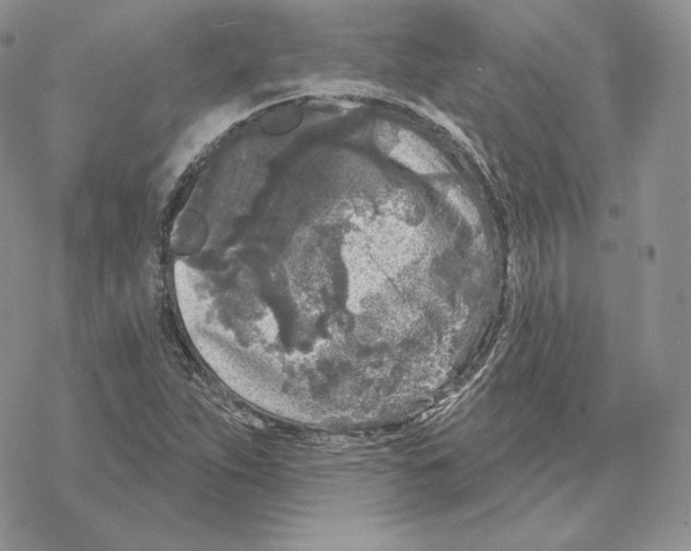 X0000069361263200606091552