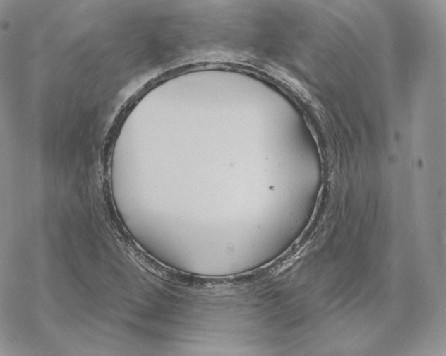 X0000069361264200606091552