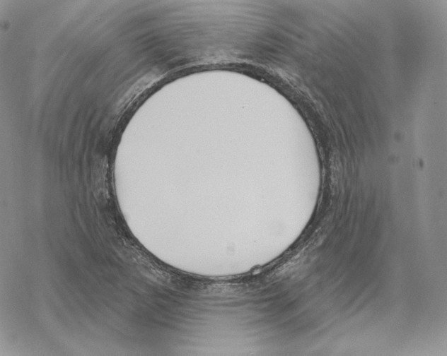 X0000069361265200606091552