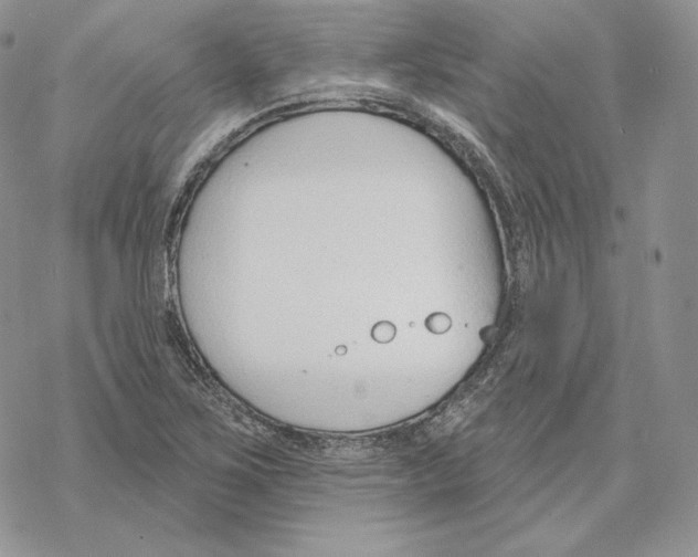 X0000069361267200606091552