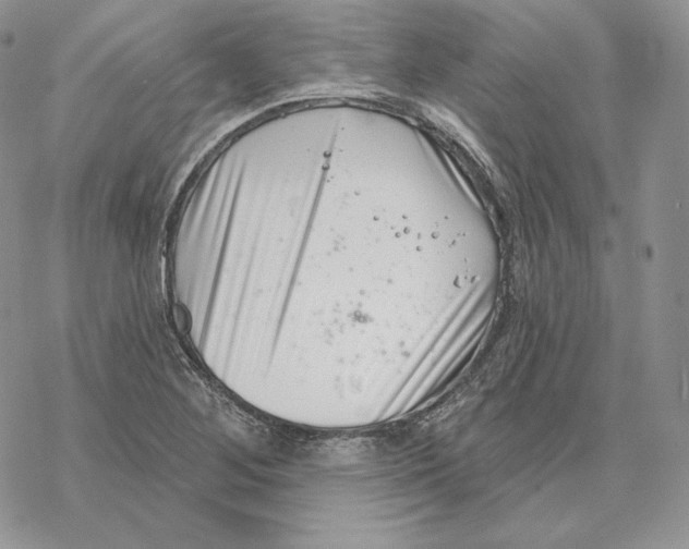 X0000069361268200606091552