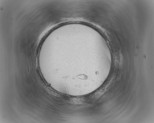 X0000069361271200606091552