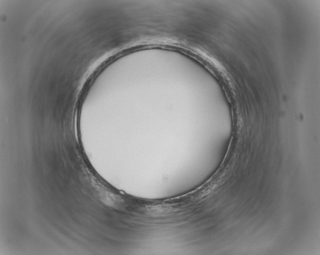 X0000069361272200606091552