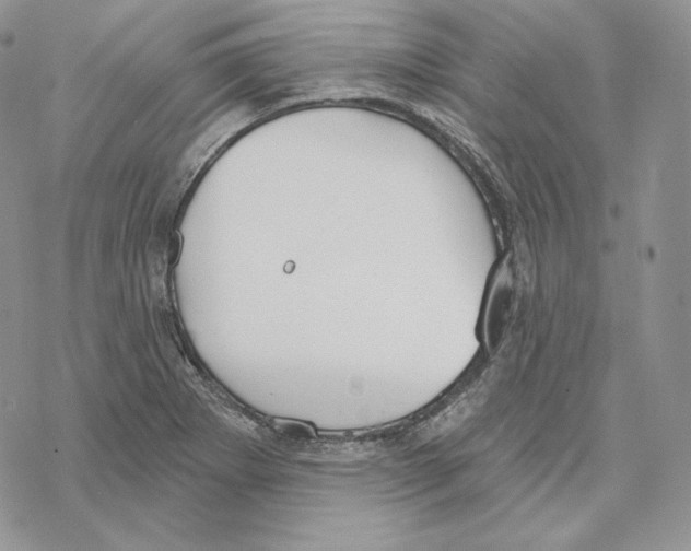 X0000069361273200606091552