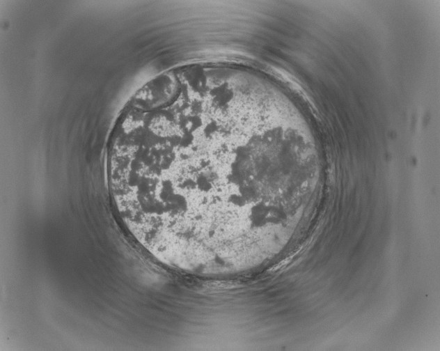 X0000069361275200606091552