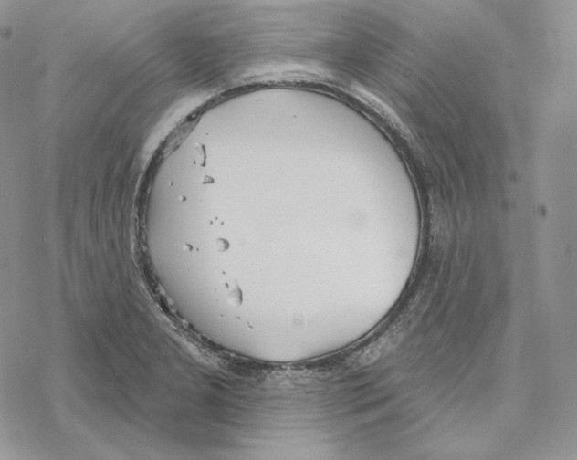 X0000069361277200606091552