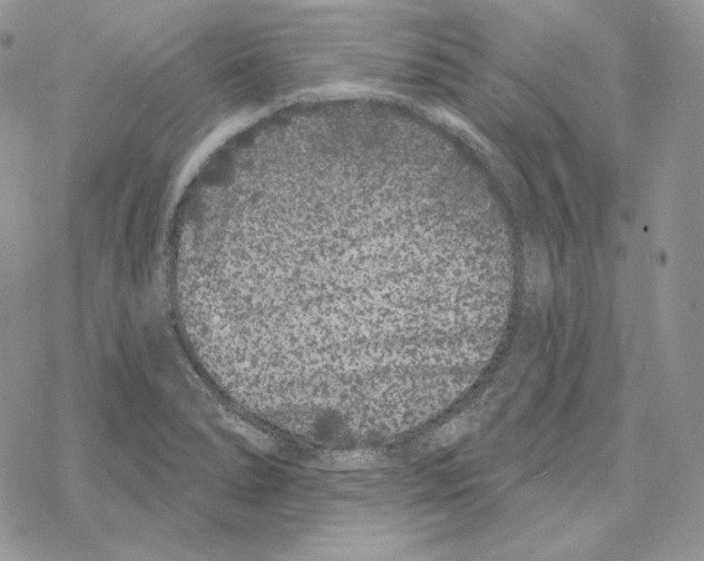 X0000069361278200606091552