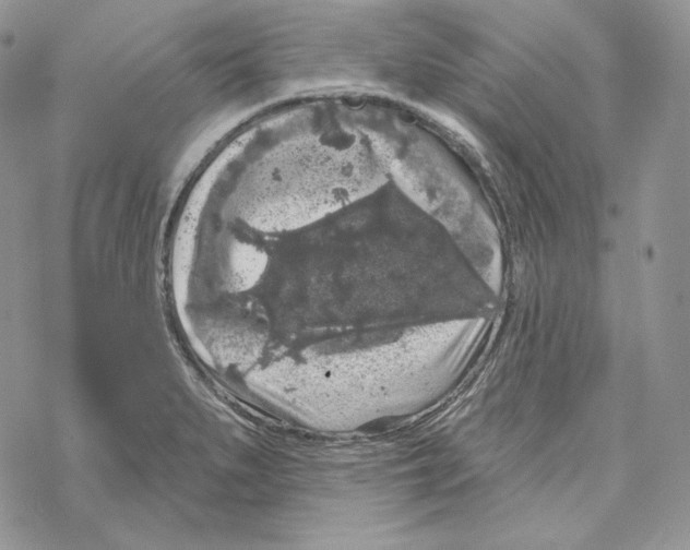 X0000069361279200606091552