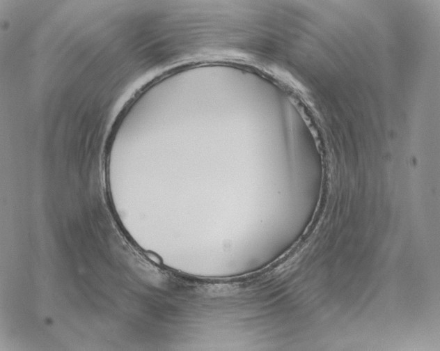 X0000069361280200606091552