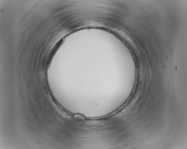 X0000069361281200606091552