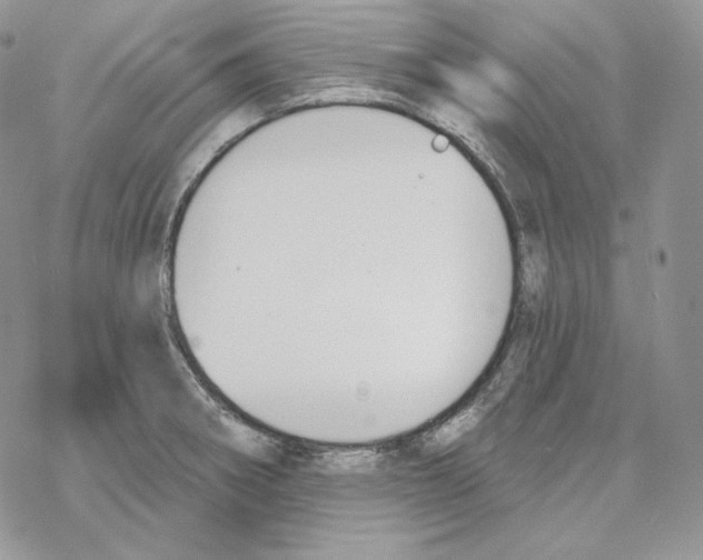 X0000069361282200606091552