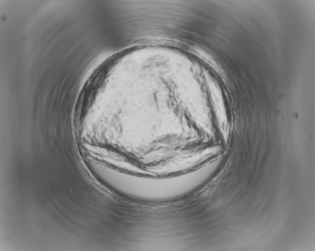 X0000069361283200606091552