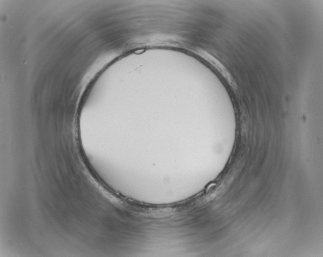 X0000069361285200606091552