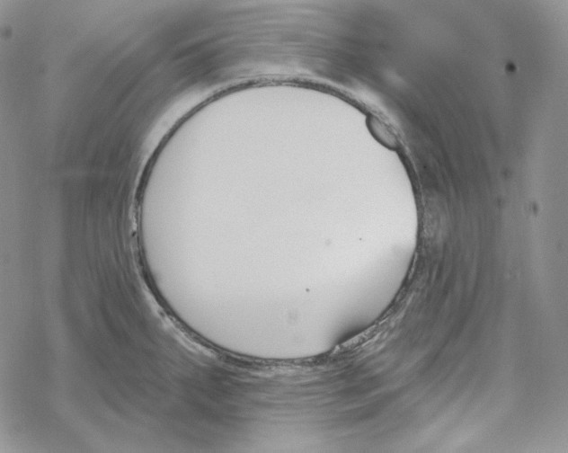 X0000069361287200606091552