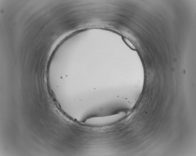 X0000069361288200606091552