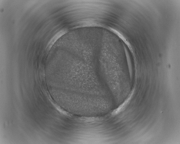 X0000069361289200606091552