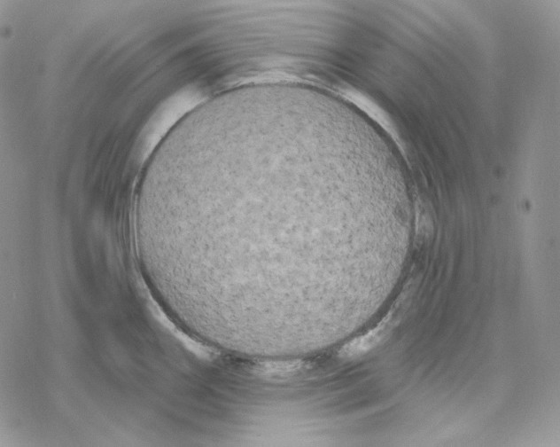 X0000069361290200606091552