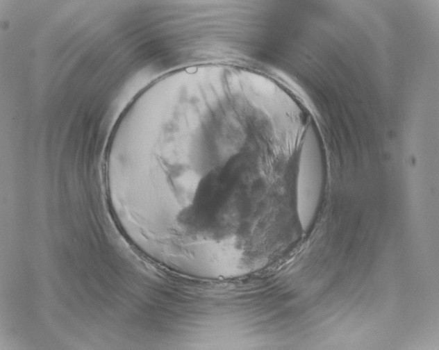 X0000069361291200606091552