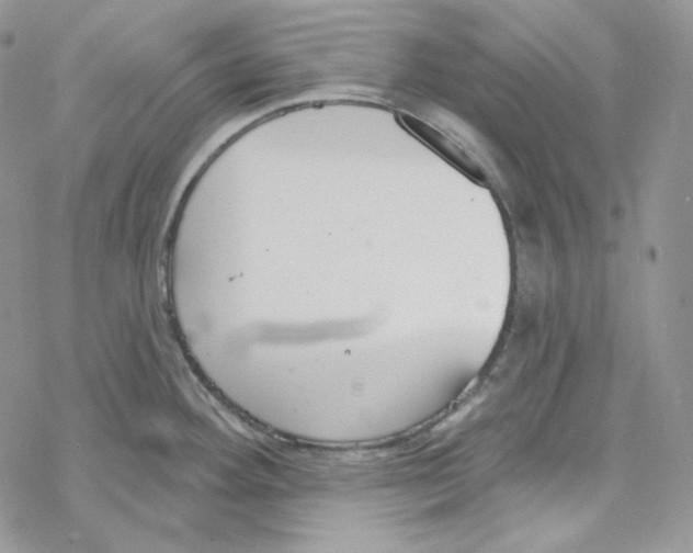 X0000069361292200606091552