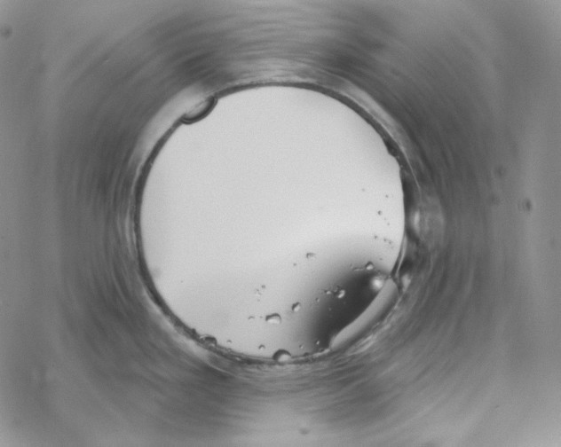 X0000069361293200606091551